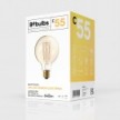 Lampadina LED Dorata Carbon Line filamento verticale Globo G95 7W 640Lm E27 2700K Dimmerabile - C55