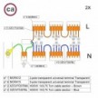 Kit de connexion WAGO compatible avec câble 2x pour Rosace à 10 trous